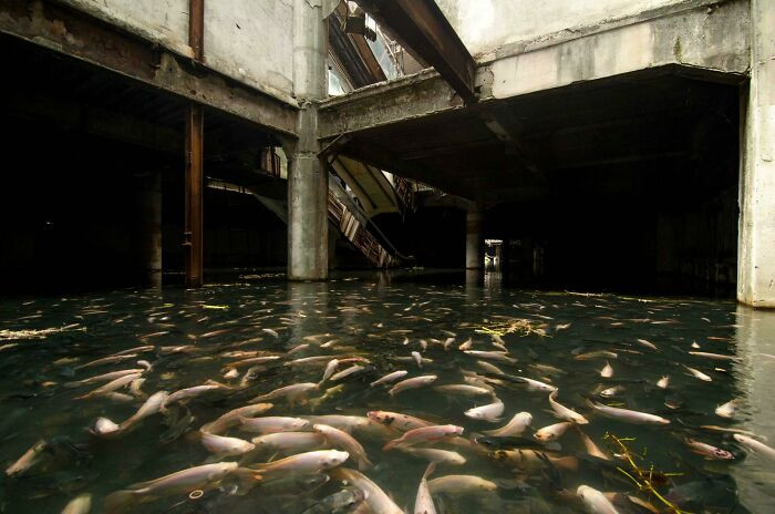 "Abandoned Mall In Bangkok"