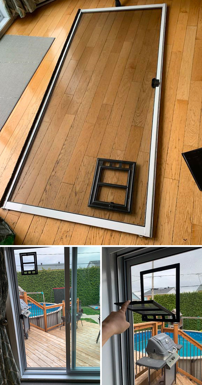 55. My lovely wife bought a new screen and a cat door to go in it. It took a few hours, and she was so proud of herself.