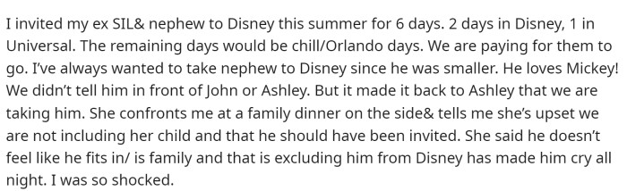 She delves into the bulk of the story, discussing the Disney invite and how her brother's girlfriend was upset about the decision.