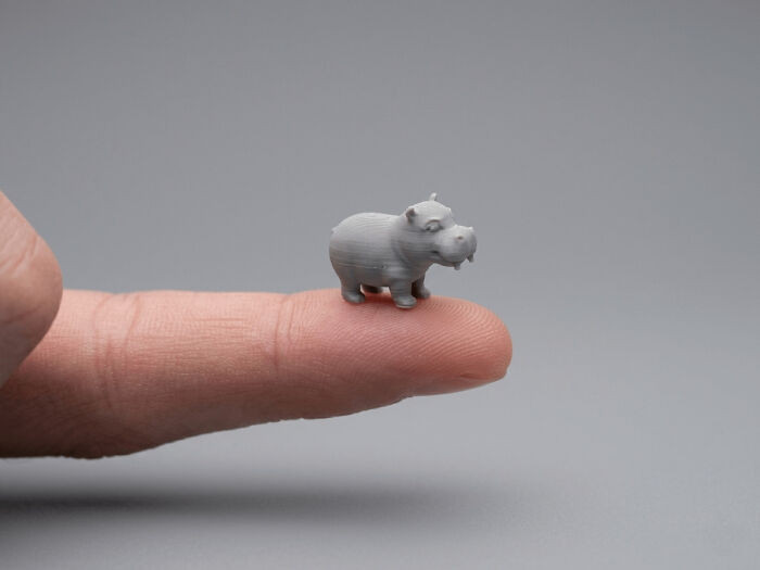 "Tiny Hippo"