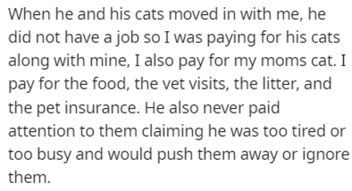 The Roommate Brought Two Cats with Him When He First Moved In, but OP Always Took Care of Them