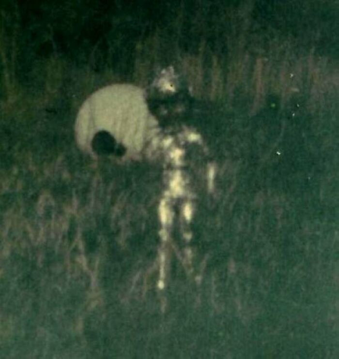 “The Ronnie Hill Incident Of 1967” On The Afternoon Of July 21, 1967, Fourteen Year Old Ronnie Hill Of Pamlico County, North Carolina, Reportedly Captured One Of The Most Curious Photographs In UFO History