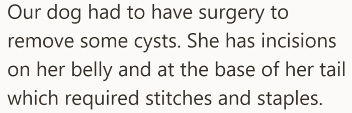 From the beginning, the dog’s recovery requires careful attention, not just comfort.