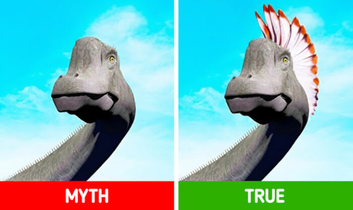 10. Although the first dinosaurs are thought to have emerged some 245 million years ago, dinosaurs with feathers have been dated to only 180 million years ago.