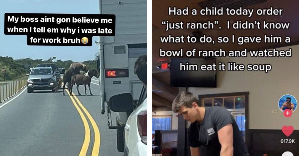 50 Memes So Funny, They'll Make You Ponder And Chuckle