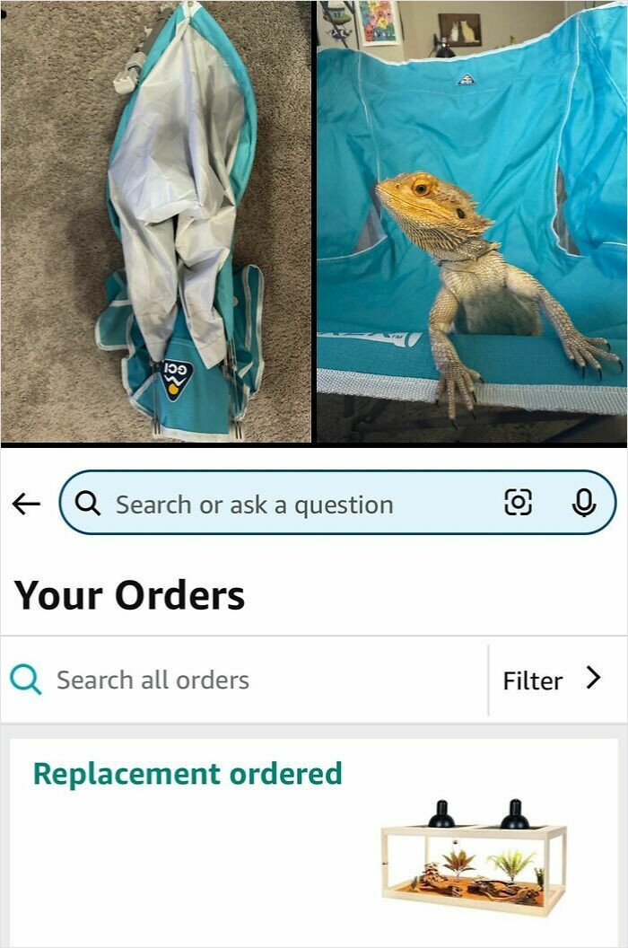 64. Ordered A Lizard Tank, Received A Chair Instead