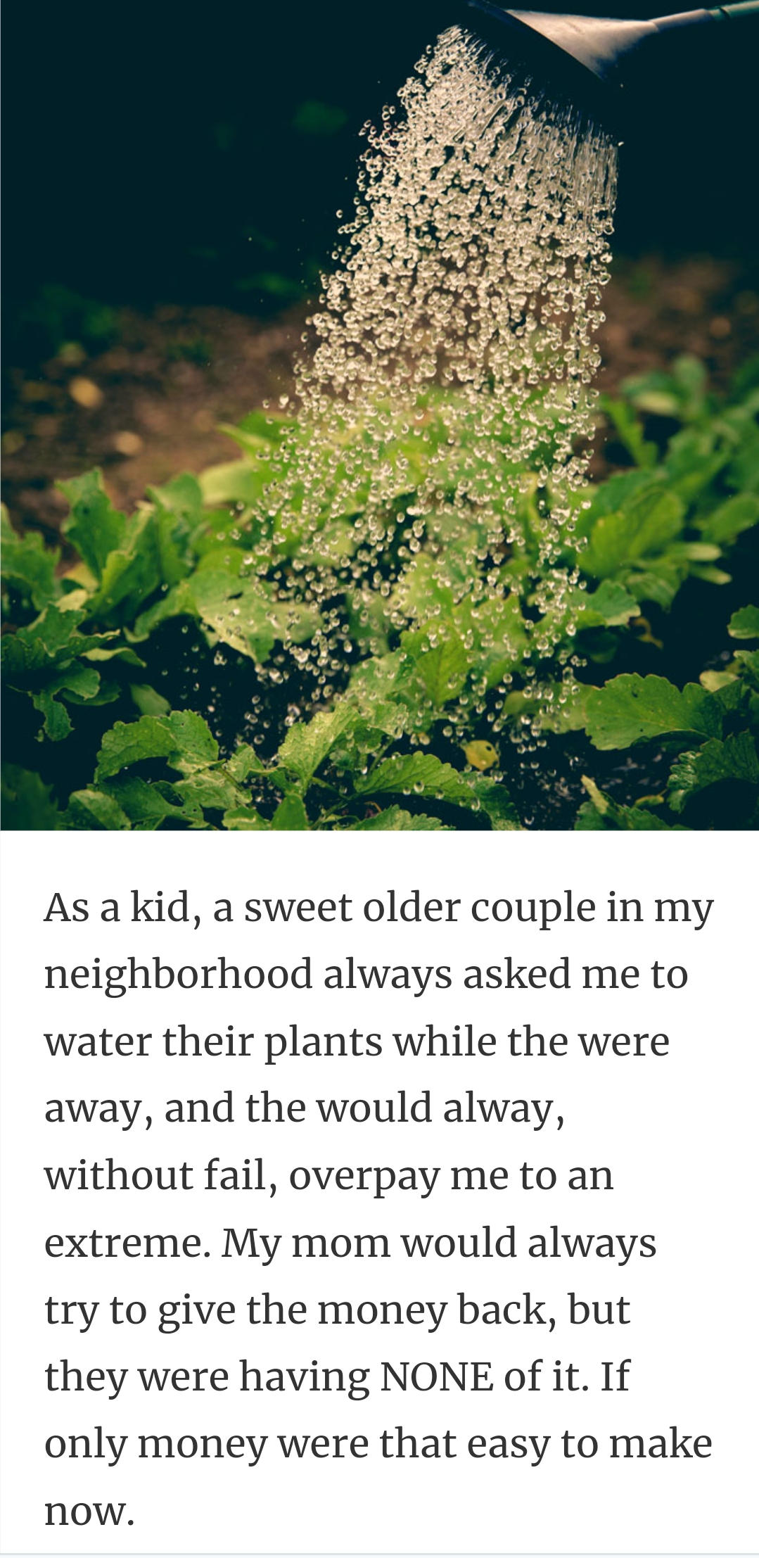 3. Watering the plants