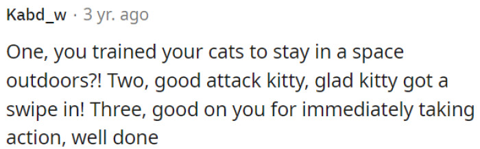 OP's Cat's Quick Action Was Great