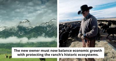 Revealed: The Enigmatic Purchaser of a $79.5 Million Ranch, Four Times Larger Than NYC