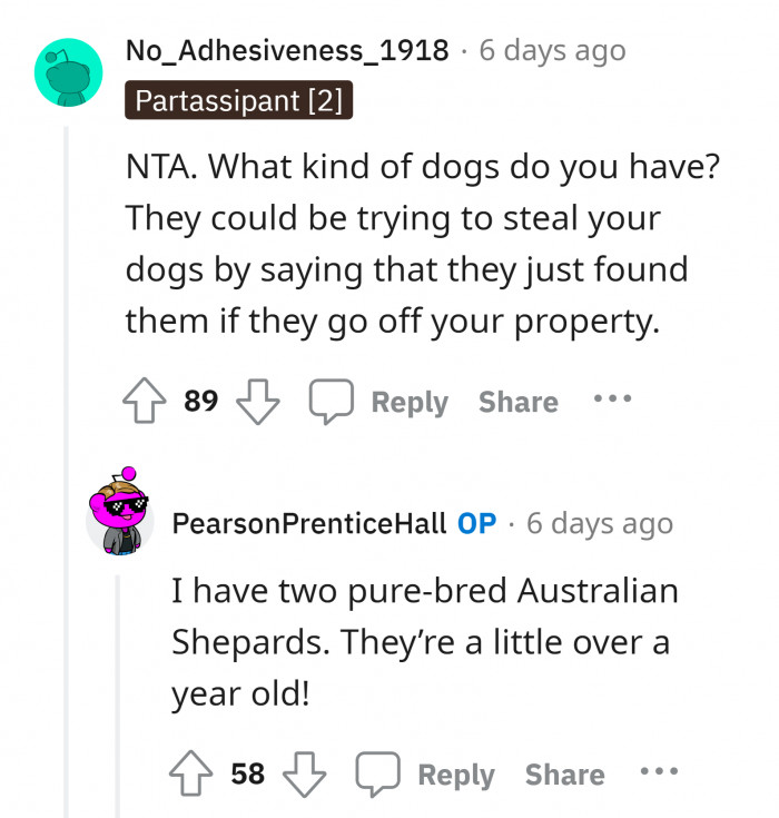 #5 Aussies is considered not aggressive and can easily steal if they get used with the presence of the two teens.