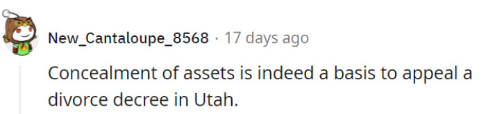 In Utah, the rule is clear: playing hide-and-seek with assets in divorces might have them seeking an appeal all over again!