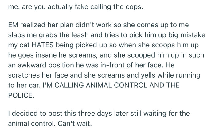 This entitled mom tried to forcefully take OP’s cat, but she learned a lesson real quick