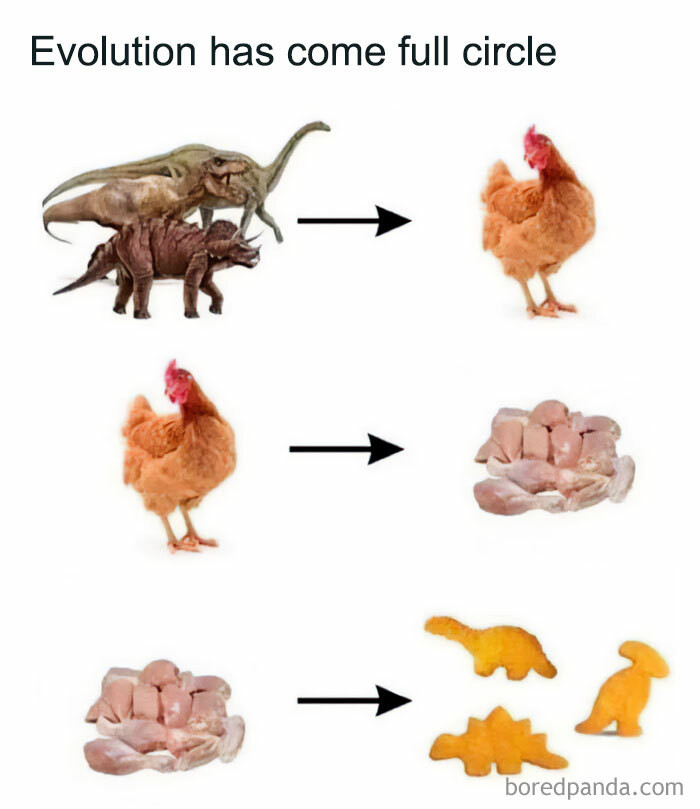 18. Full Circle