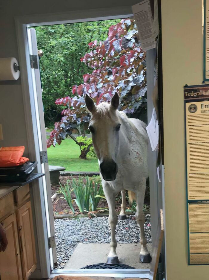"My Mom Works At A Doctor's Office And Sent A Photo Of This Patient Who Showed Up For An Appointment"