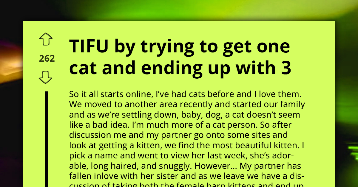 Pet Lover Adopts Cat After Losing Two Favorites, Ends Up With Three When They're Found