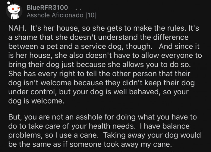 If the dog is well-behaved, it should be welcome.