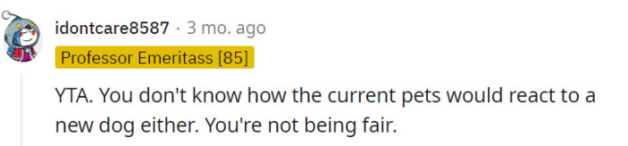 Ah, the precarious game of pet clairvoyance, where predicting the reactions of our furry friends becomes as elusive as teaching a goldfish to fetch.