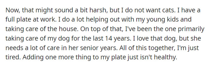 With work, childcare, home duties, and a senior dog to care for, he candidly explained that his fatigue made adding cat care to his plate unfeasible and unhealthy.
