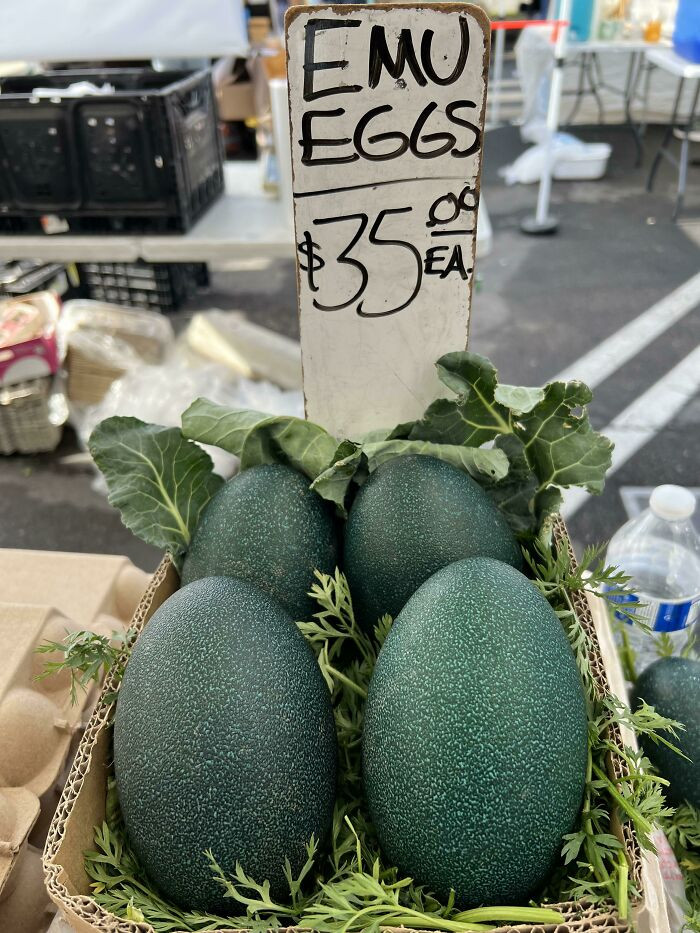 "Local Farmers Market Has Emu Eggs"