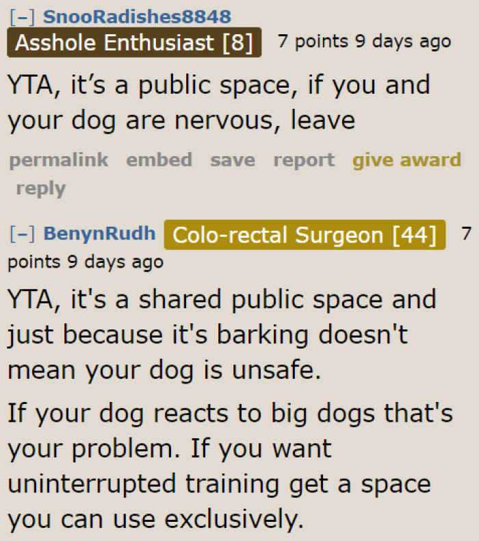She should have been the one to leave the park with her nervous dog, not the other dog owner.