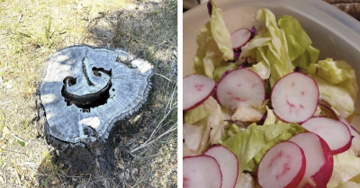 When Everyday Objects Seem To Stare Back