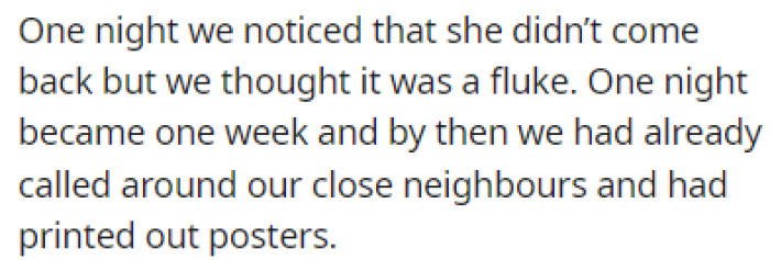 One night, the cat didn't return to their home