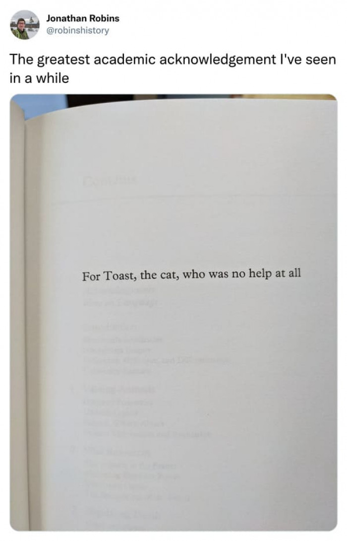 13. Toast was not helpful at all.