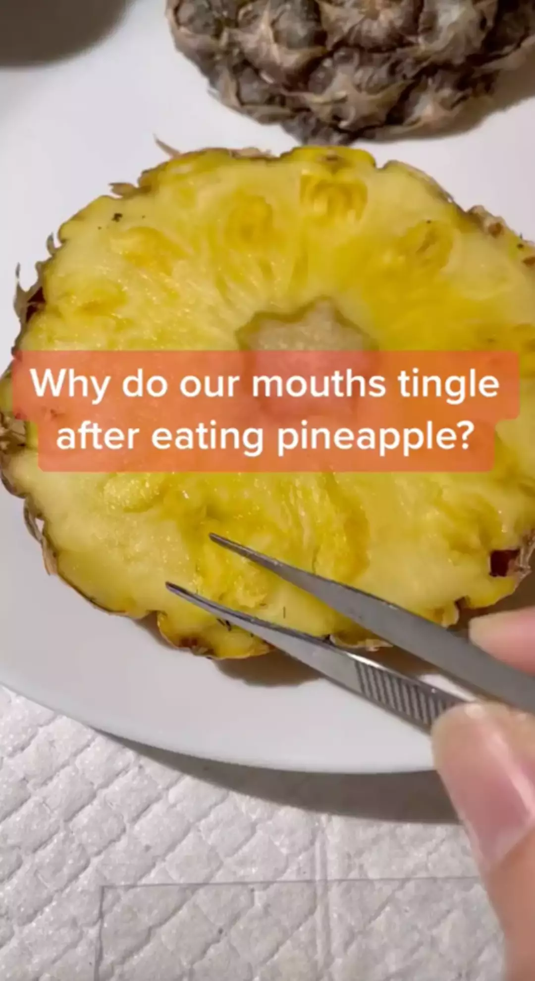 Most of us are unaware that pineapples have been fighting back when we eat them