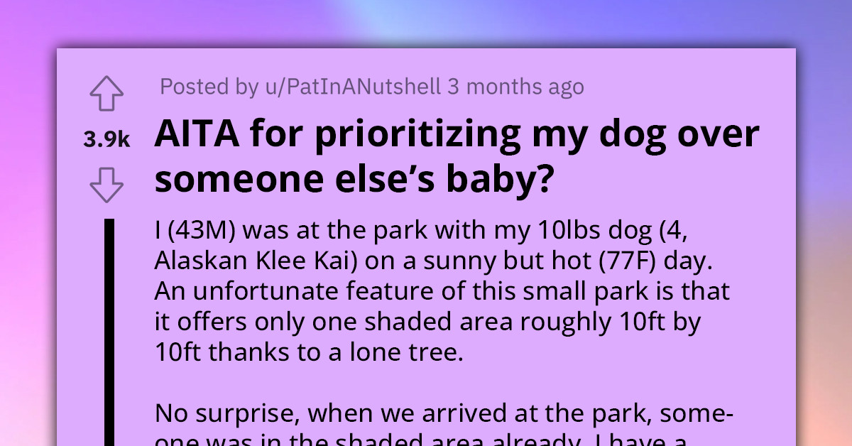 Redditor Branded As The 'Bad Guy' For Prioritizing His Dog's Shade Over A Baby At Public Park
