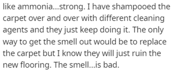 OP couldn't manage to get the ammonia smell out of the carpets