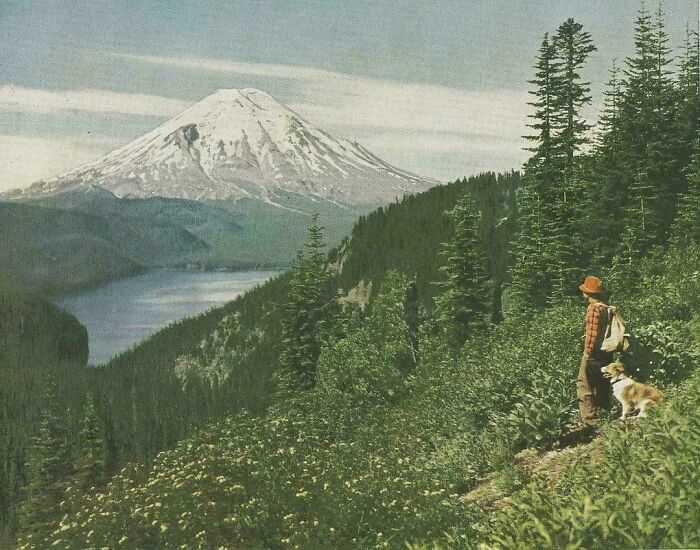 "A Hiker Admiring MT. St. Helens, 1952"
