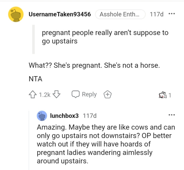 OP's SIL is only pregnant and she's not a horse