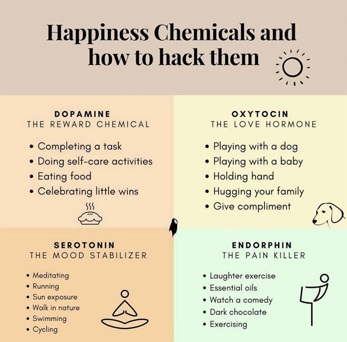 27. Happiness chemicals and how to hack them