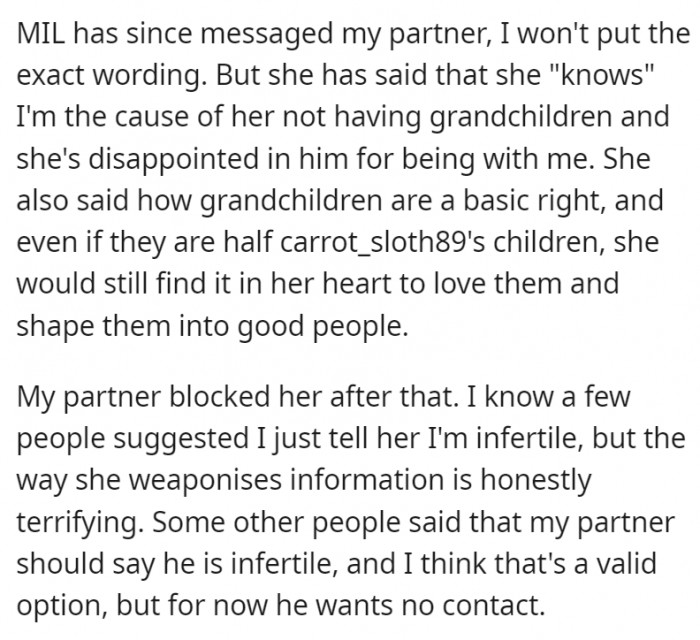 MIL blames OP for not having grandchildren