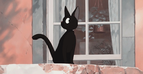 12. The tail, the facial expressions, and the face turn... Hmm