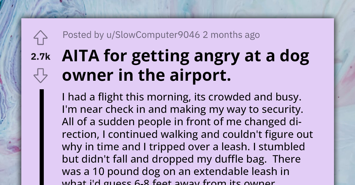Redditor Gets Into an Airport Argument After Tripping Over Someone's Unattended Dog and the Owner Blaming Them for Not Paying Attention