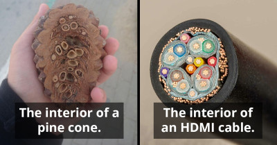 50 Intriguing Moments When Things Were Opened to Reveal Surprising Contents