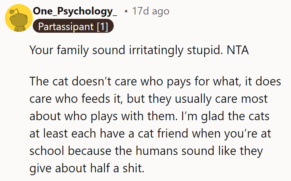 Their family sounds frustratingly clueless. NTA—cats care about playtime, not who pays. They’re lucky they’re there.