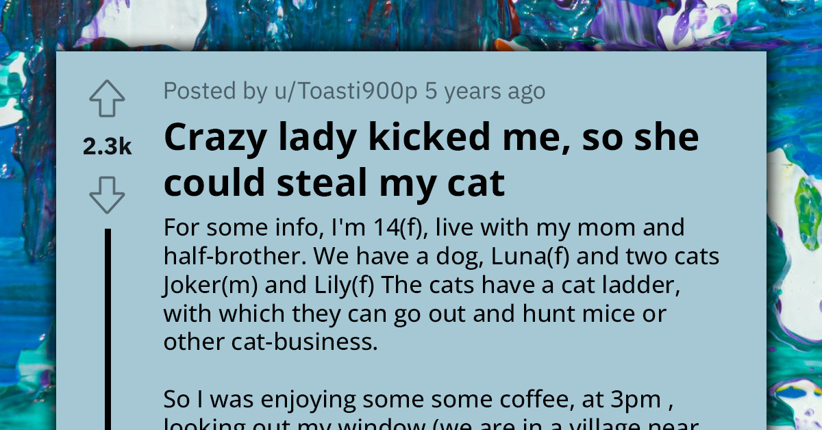'Crazy Lady' Kicks Teen With Cat So She Could Steal The Feline For Her Kid