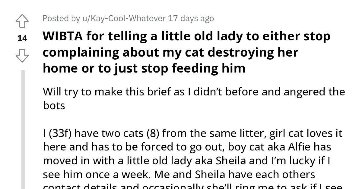 Neighbor Constantly Feeds Redditor's Cat, Then Complains About How It Is Destroying Her Home And Bothering Other Cats