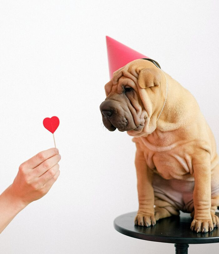 15. Valentine’s Day (Indonesia, Pakistan, And Saudi Arabia)