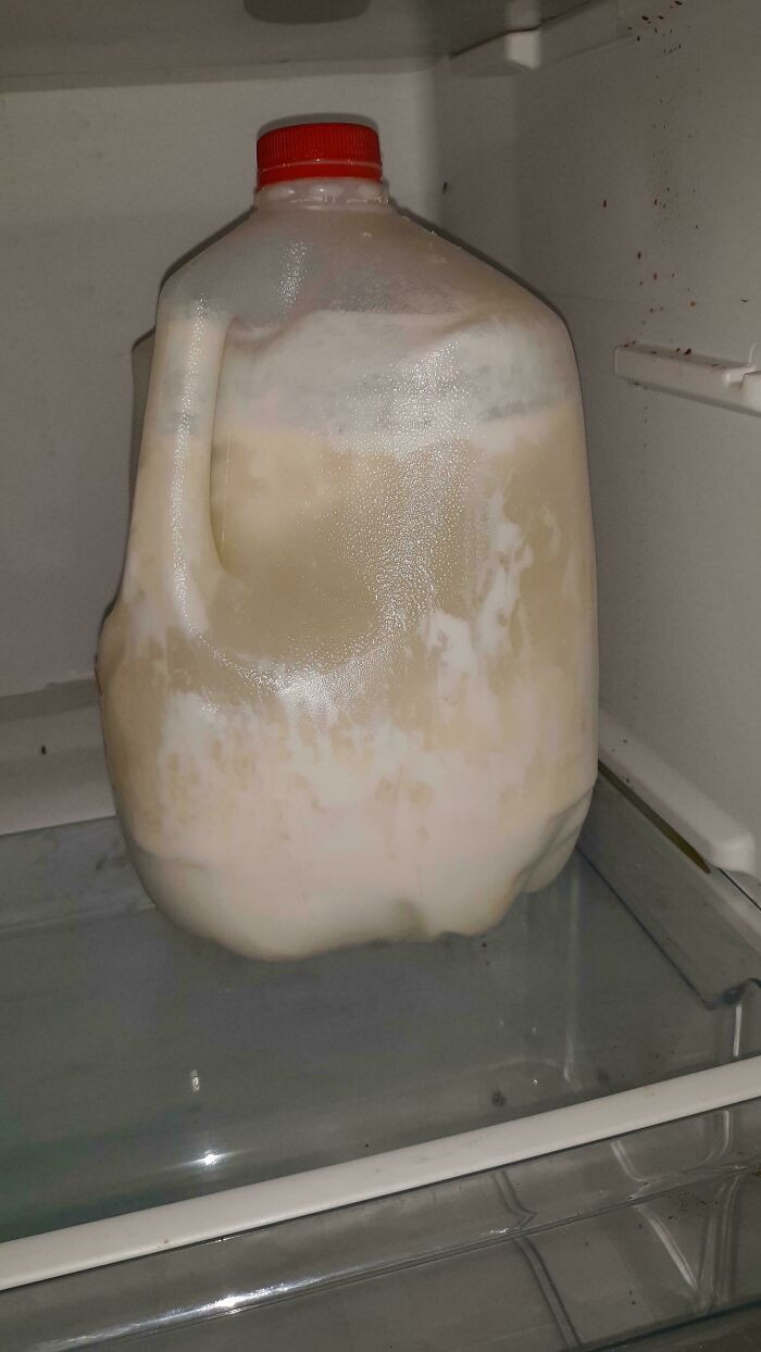 "Coworker Has This Old Milk In Staff Fridge"