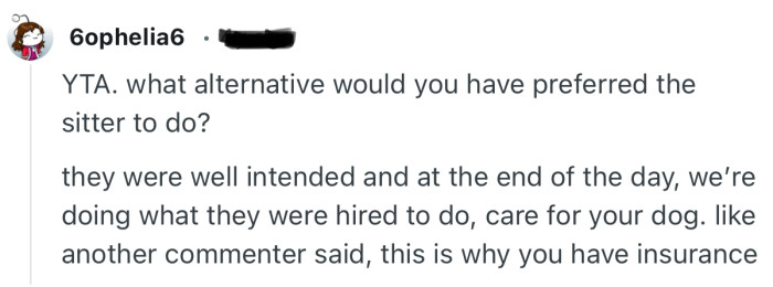 “YTA. what alternative would you have preferred the sitter to do?”