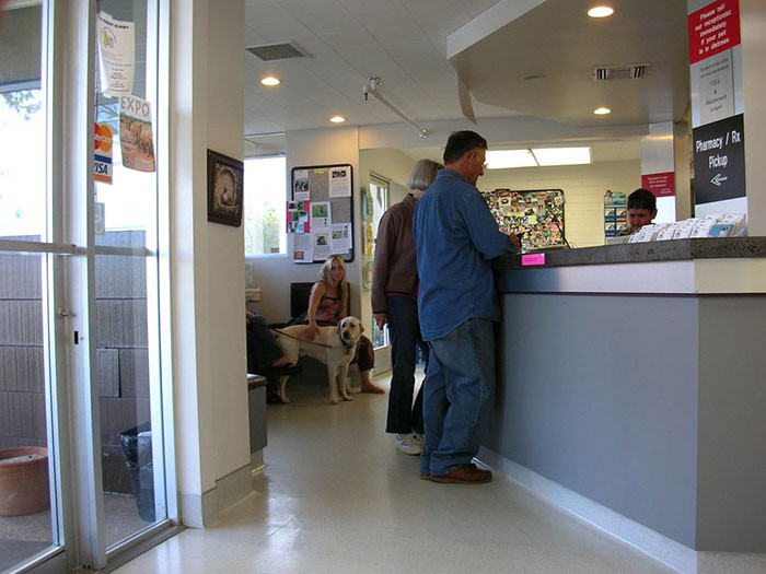 25. A woman mistakes a customer for an employee at the vet clinic