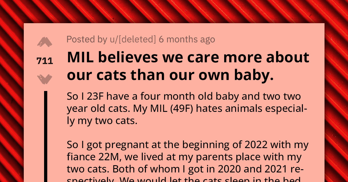 New Mother Stands Up to Mother-in-Law's Attempt to Evict Beloved Cats Upon Baby's Arrival