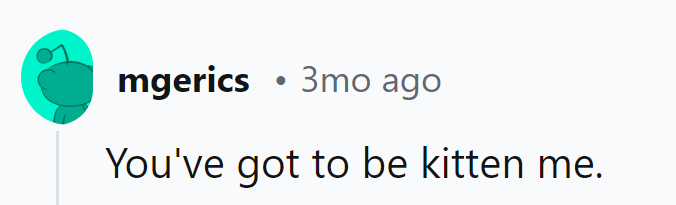 Well, that's a purr-fectly catty situation!