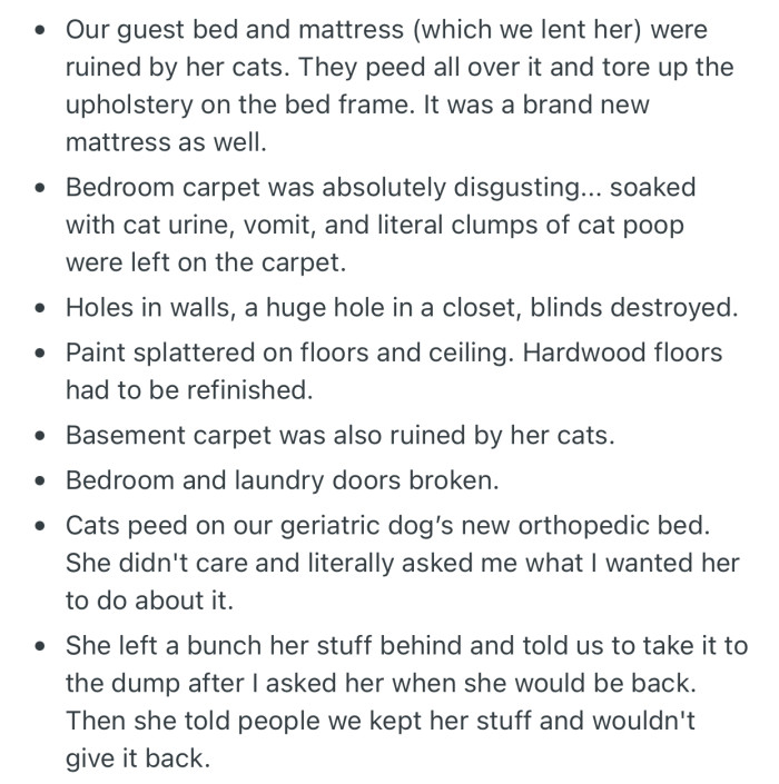 OP took record of the damage done by her SIL