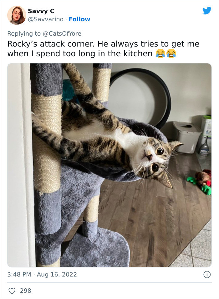 20. Expecting some delicious food: