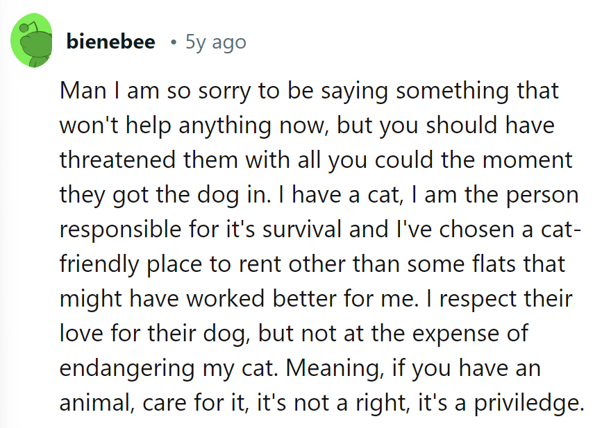 Hindsight's clear: Pets need palaces, not battlefields. It's a 'purr'-ilege, not just a right.