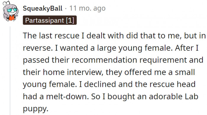 Why would any shelter worker do such an obstructive thing?